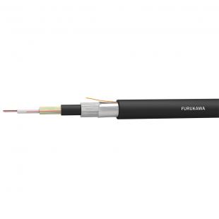 FECOMMO2-028-0 - CABO OPTICO MULTIMODO OM2 (50/125) ANTI-ROEDOR OPTIC-LAN-AR PFV (CFOT-MM-UTR) 12F COG - 28233002 - LIGHTERA