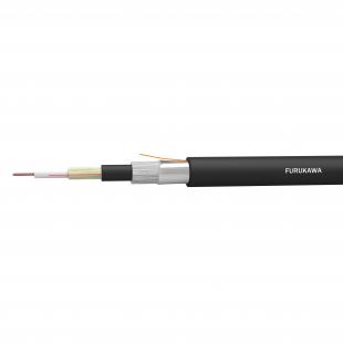FECOMMO2-024-0 - CABO OPTICO MULTIMODO OM2 (50/125) ANTI-ROEDOR OPTIC-LAN-AR PFV (CFOT-MM-UTR) 02F COG - 28233006 - LIGHTERA