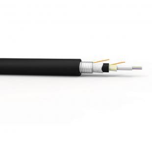 FECOMMO1-025-0 - CABO OPTICO MULTIMODO OM1 (62.5/125) ANTI-ROEDOR OPTIC-LAN-AR  04F NR - 28352001 - LIGHTERA