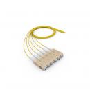 FESPECO2-002-0 - EXTENSAO OPT. SOHOPLUS CON. MULTIMODO OM2 (50/125) 6F MONOFIBRA SC-UPC (SEM ADAPTADOR) 1,5M COG - 33090036 - LIGHTERA