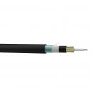 FECOMMO2-025-0 - CABO OPTICO MULTIMODO OM2 (50/125) ANTI-ROEDOR OPTIC-LAN-AR PFV (CFOT-MM-UTR) 04F COG - 28233008 - LIGHTERA