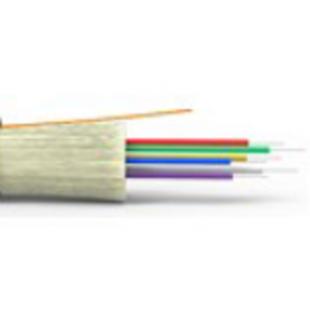 FECOSM2D-002-0 - CABO OPTICO MONOMODO (9/125) G652D - FIBER-LAN (CFOT-SM-EO) 04F COG/COR - 28070004 - LIGHTERA