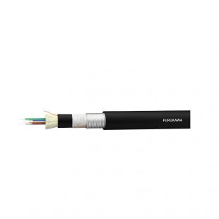 FECOSM2D-011-0 - CABO OPTICO MONOMODO (9/125) G652D ANTI-ROEDOR FIBER-LAN-AR (CFOT-SM-AREO) 06F COG - 28072004 - LIGHTERA