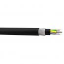 FECOMMO4-020-0 - CABO OPTICO MULTIMODO OM4 (50/125) ANTI-ROEDOR CFOA-MM-DDR-S TS (PFV)  24F ABNT CL LSZH - 28273026 - LIGHTERA